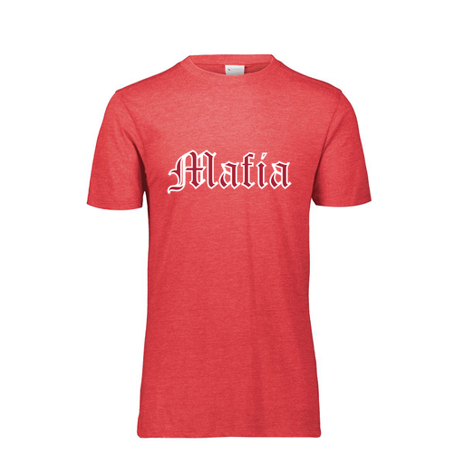[FTSCUBRD-YS-LOGO3] Decker Youth Tri-Blend T-Shirt - Short Sleeve (Youth S, Red, Logo 3)